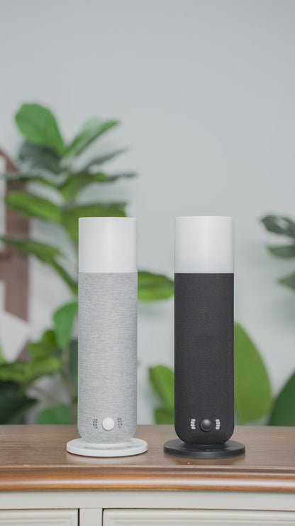 Bayscent Glow Up – bis zu 80 m²